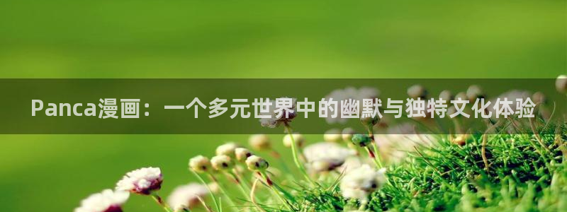 歪歪漫画免费在线观看韩漫：Panca漫画：一个多元世界中的幽默与独特文化体验