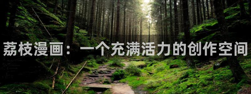 韩漫双男主漫画推荐：荔枝漫画：一个充满活力的创作空间