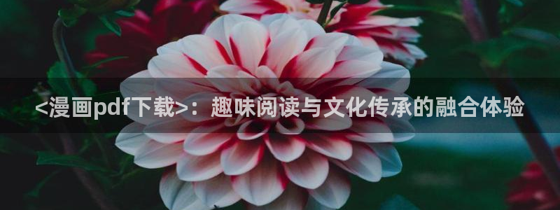 歪歪漫画韩漫阅读：<漫画pdf下载>：趣味阅读与文化传承的融合体验