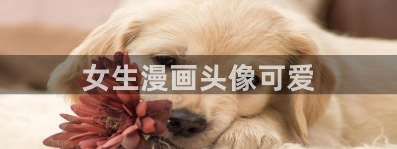 韩漫免费漫画官网：女生漫画头像可爱