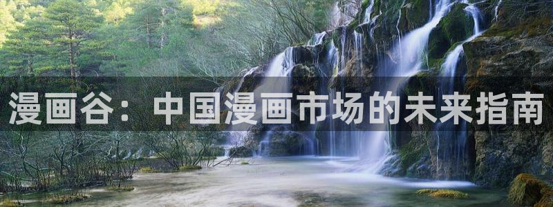 韩漫画漫：漫画谷：中国漫画市场的未来指南