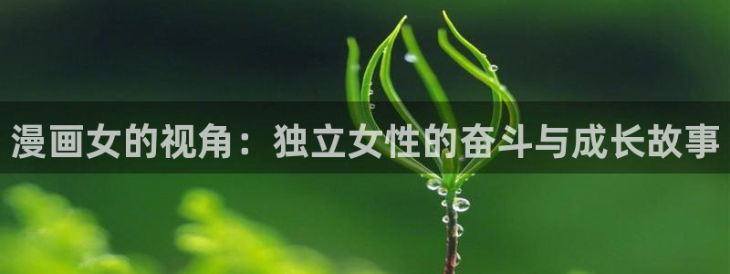bl漫画网韩漫：漫画女的视角：独立女性的奋斗与成长故事