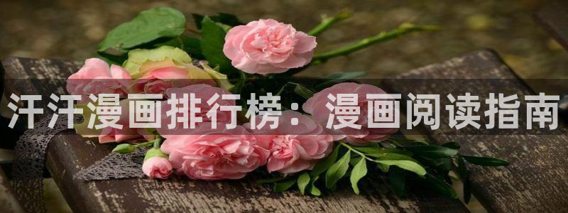 家政妇韩漫画：汗汗漫画排行榜：漫画阅读指南