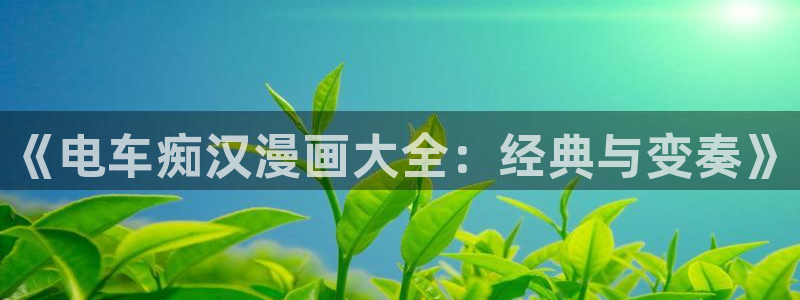 韩漫色在线观看：《电车痴汉漫画大全：经典与变奏》