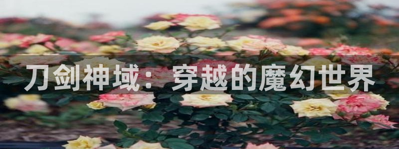 无遮挡韩漫画：刀剑神域：穿越的魔幻世界