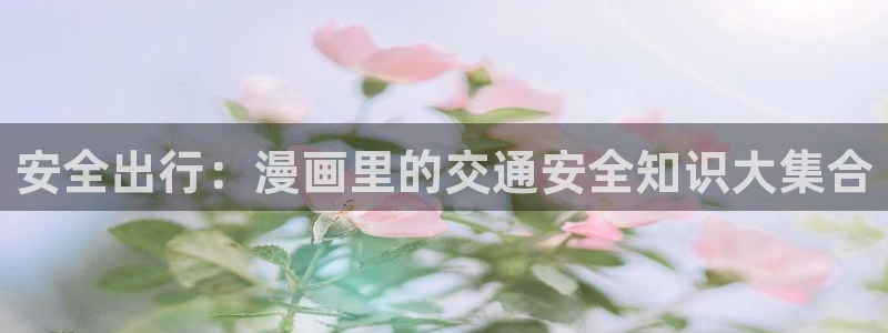 韩漫免费漫画xxx：安全出行：漫画里的交通安全知识大集合