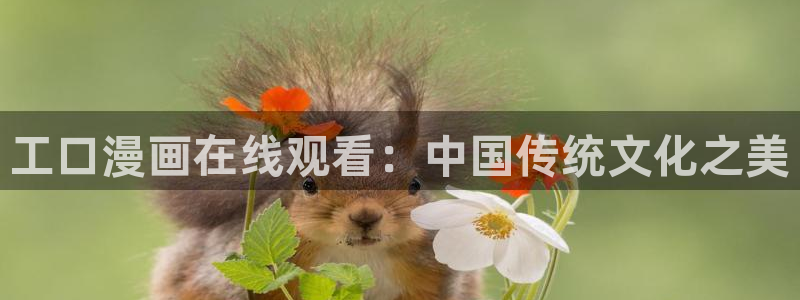 韩漫继mu与继jie漫画下拉