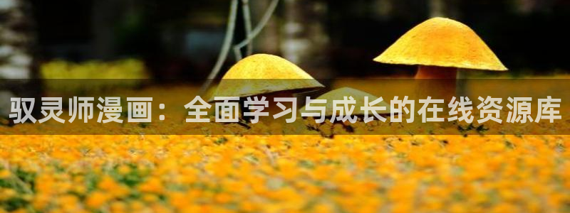 韩漫双男主在线看