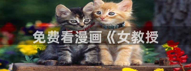 在线观看免费韩漫