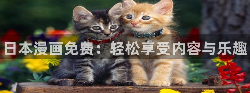 韩漫画免费网站入口