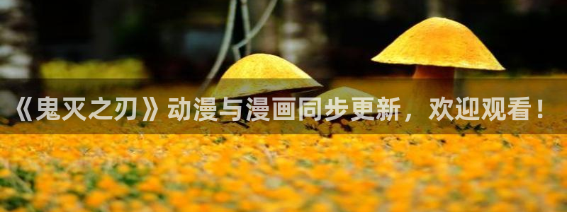韩漫网页网站