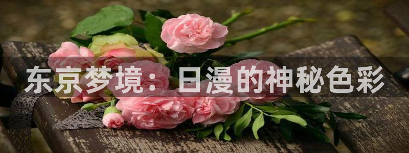 左手韩漫画